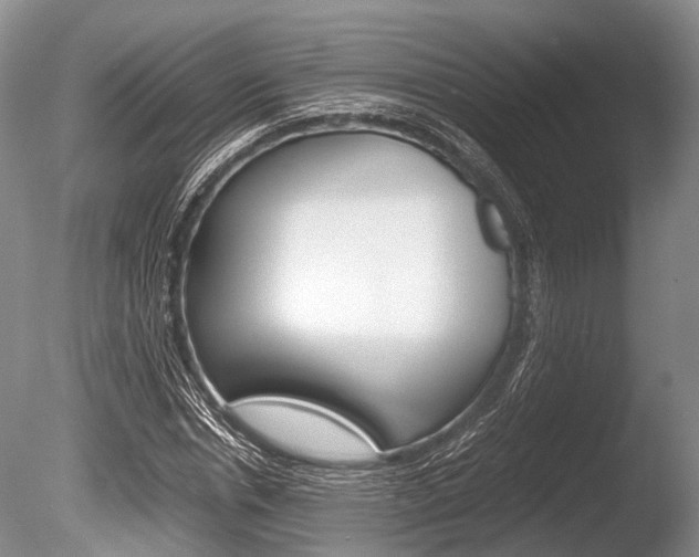 X0000086290826200703300859
