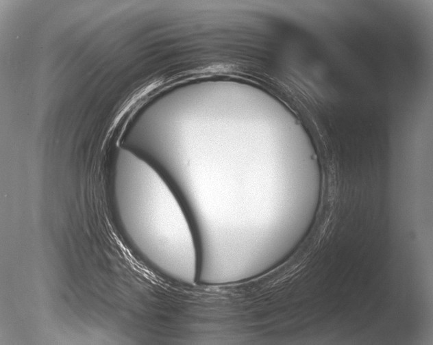 X0000086290827200703300859