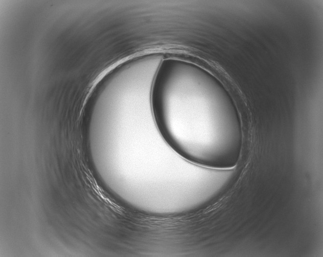 X0000086290830200703300859