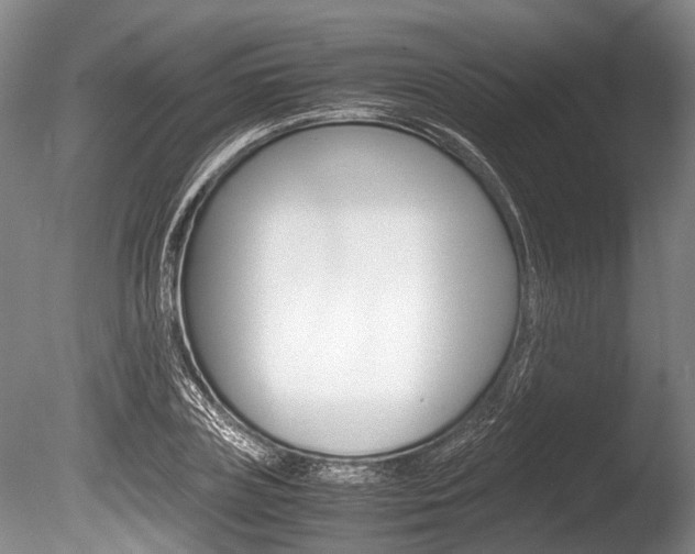 X0000086290835200703300859