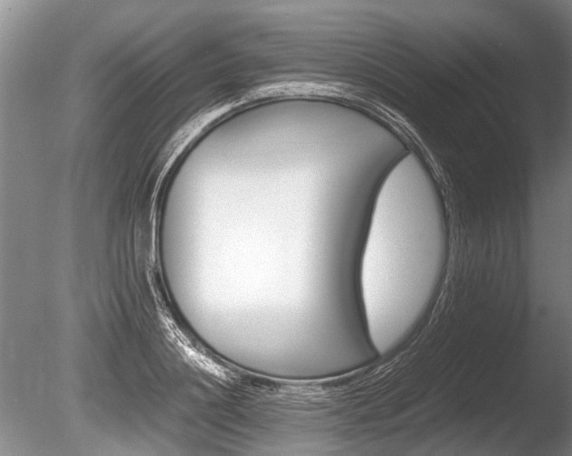 X0000086290844200703300900
