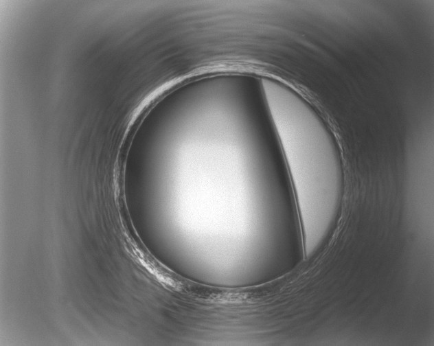 X0000086290846200703300900