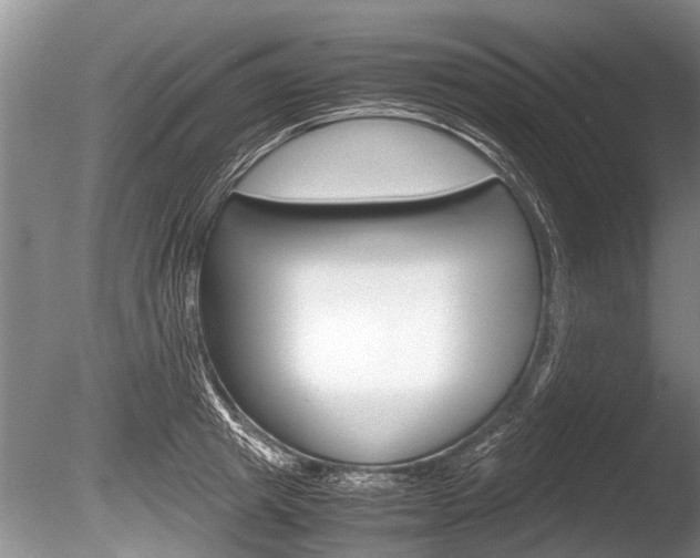 X0000086290849200703300900