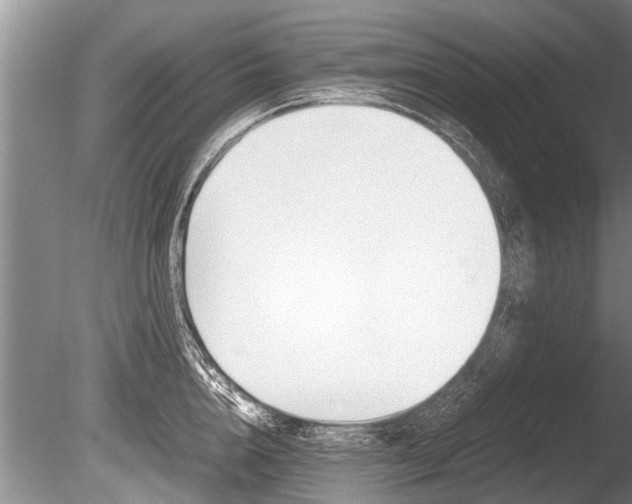 X0000086290856200703300900