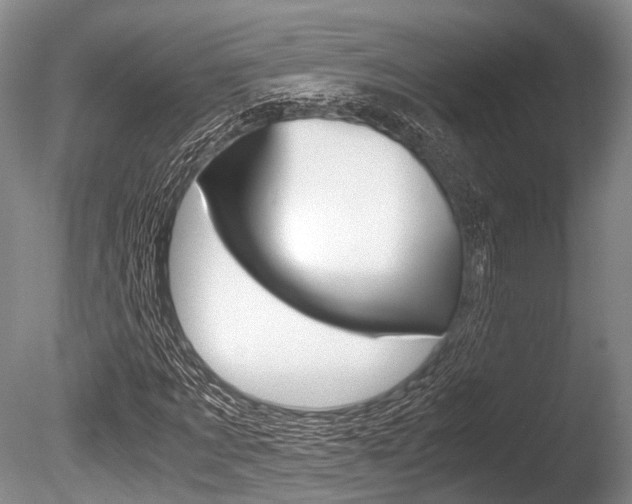 X0000086290869200703300859