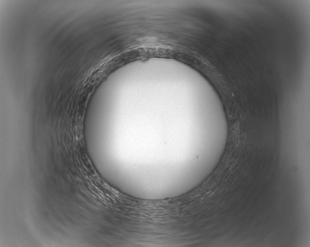 X0000086290870200703300859
