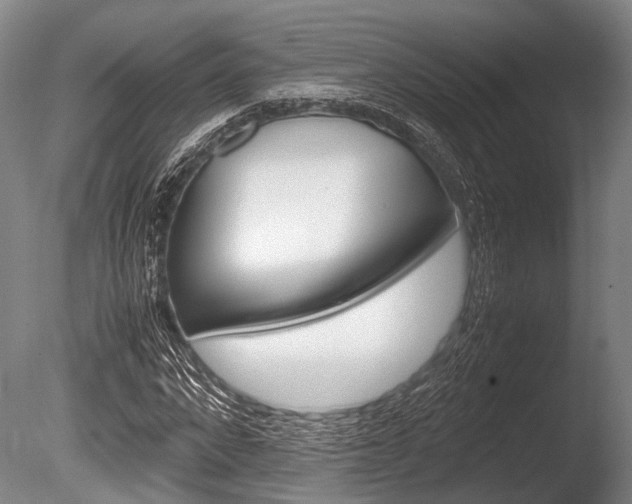 X0000086290872200703300859
