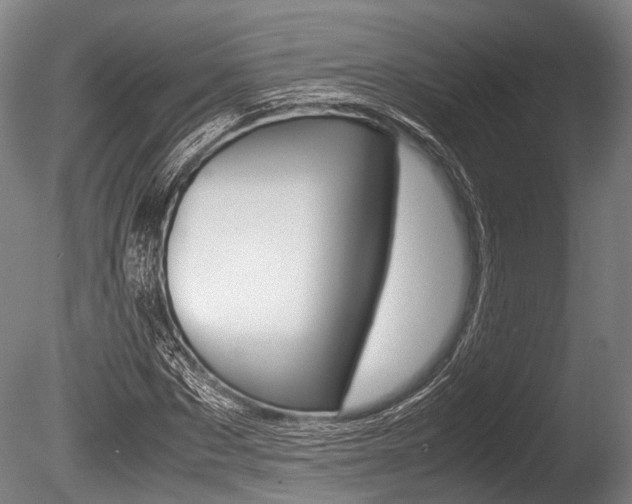 X0000086290873200703300859
