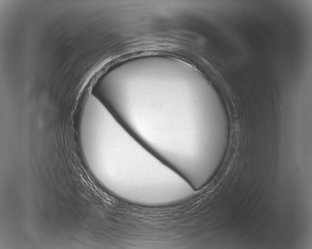 X0000086290875200703300859