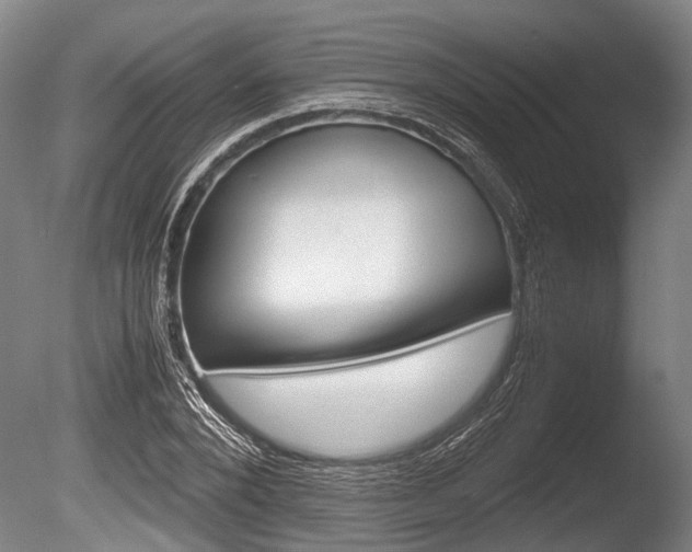 X0000086290880200703300859