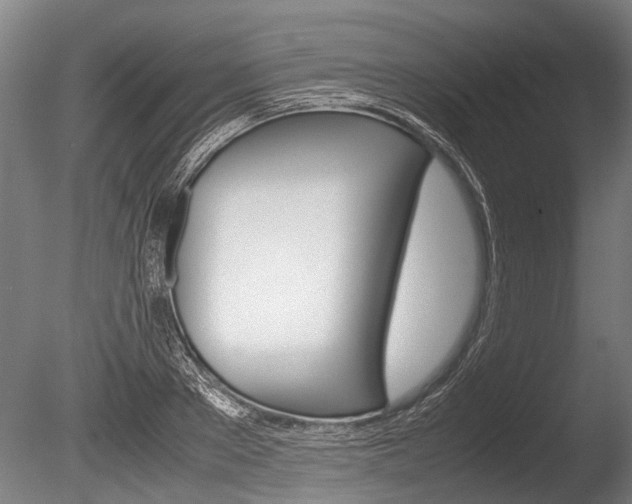 X0000086290889200703300859
