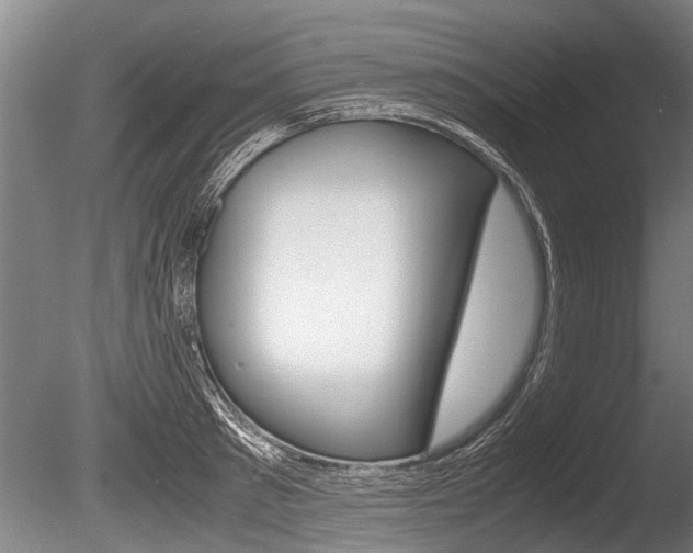 X0000086290897200703300859