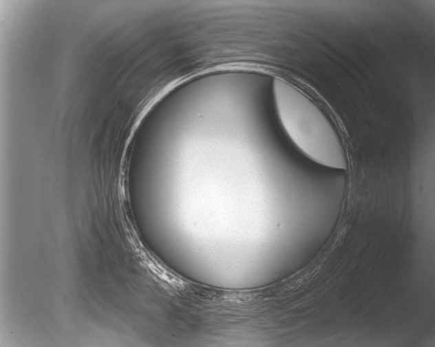 X0000086290908200703300858