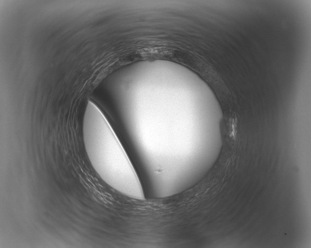 X0000086290915200703300857