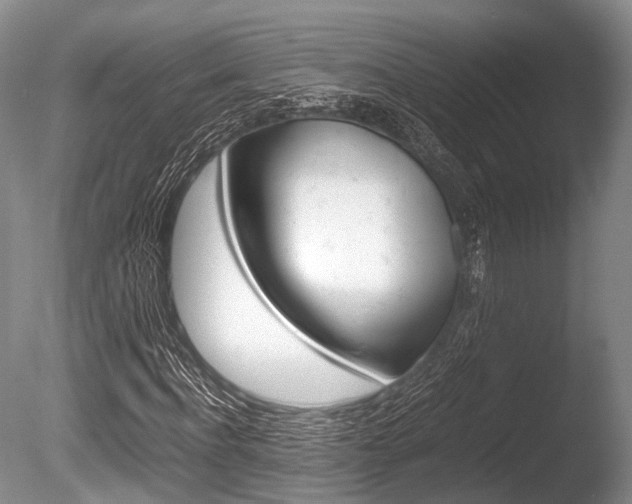 X0000086290916200703300857