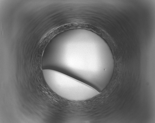 X0000086290919200703300858