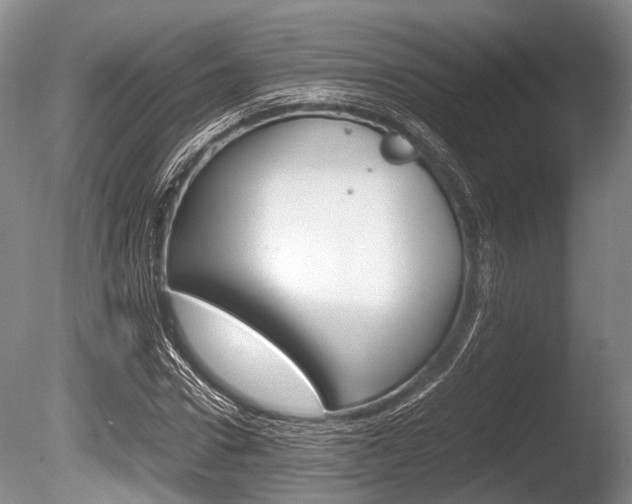 X0000086290922200703300858