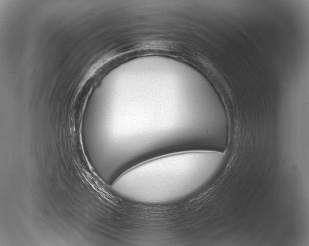 X0000086290923200703300858