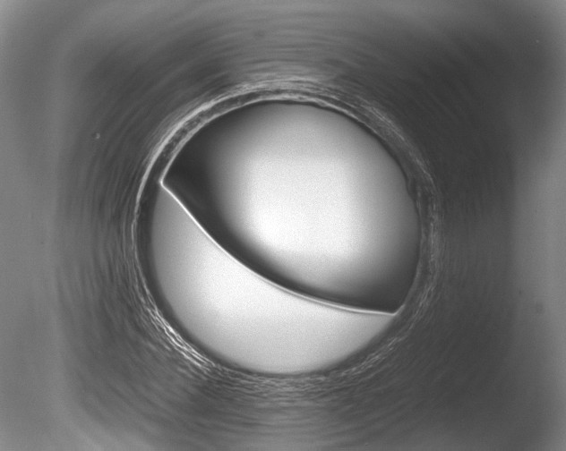 X0000086290924200703300858