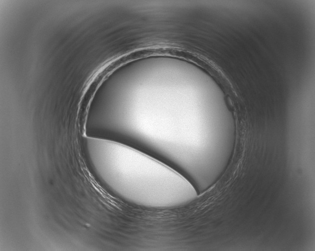 X0000086290927200703300858