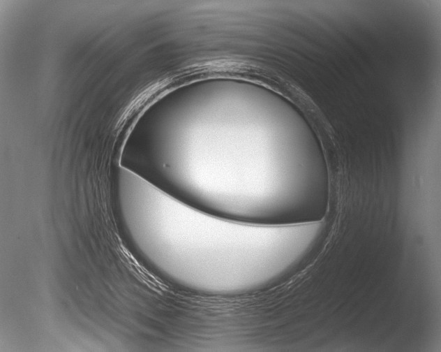 X0000086290930200703300858