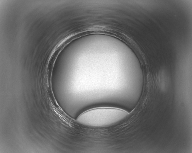 X0000086290931200703300858