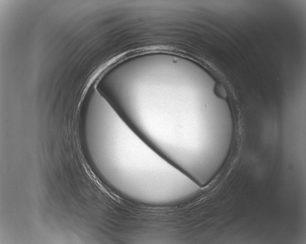 X0000086290933200703300858