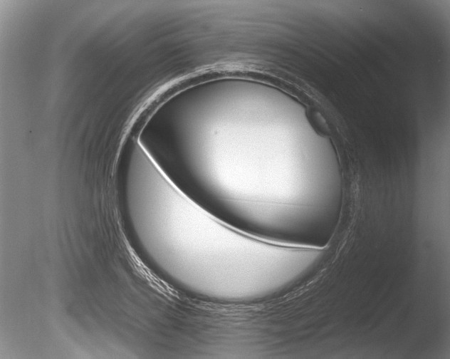 X0000086290934200703300858