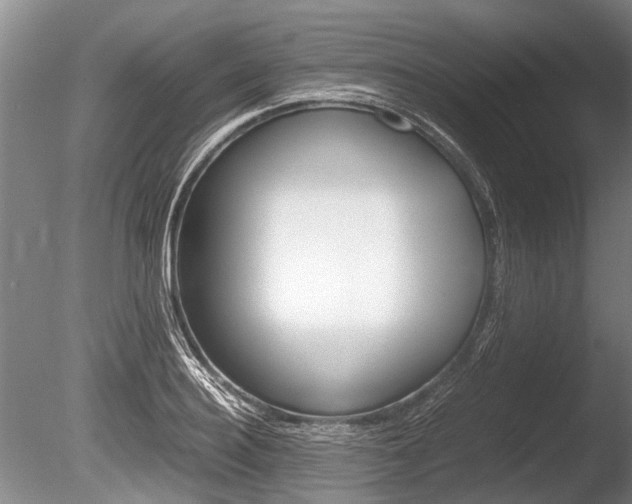 X0000086290940200703300858