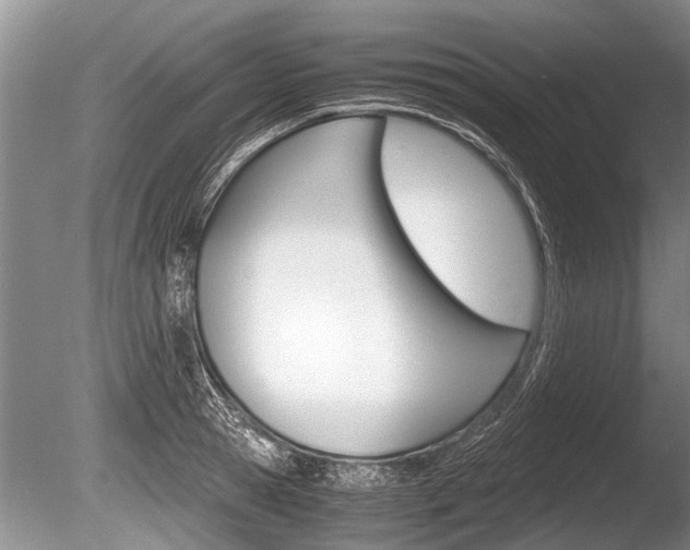 X0000086290945200703300858