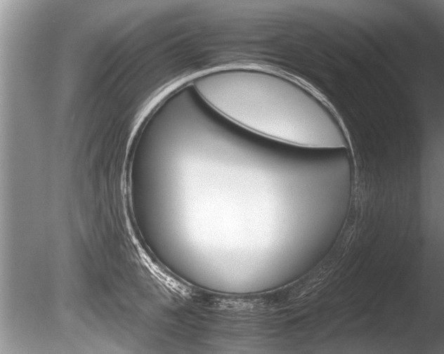 X0000086290951200703300858