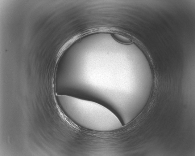X0000086290954200703300858