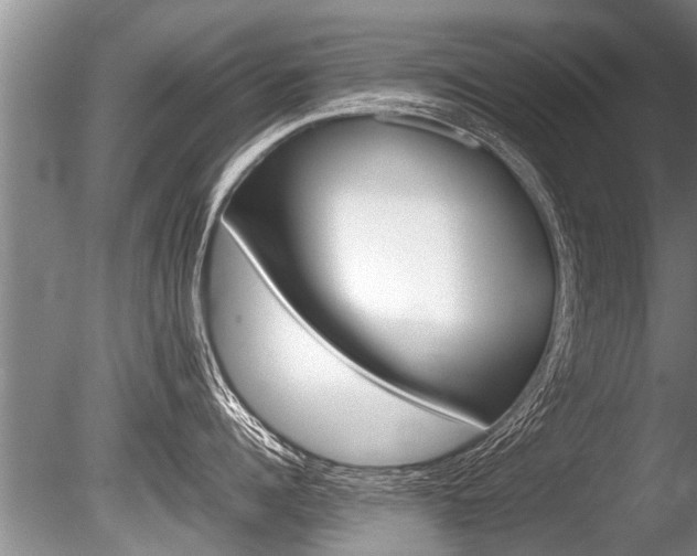 X0000086290960200703300858