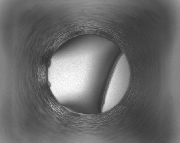 X0000086290963200703300857