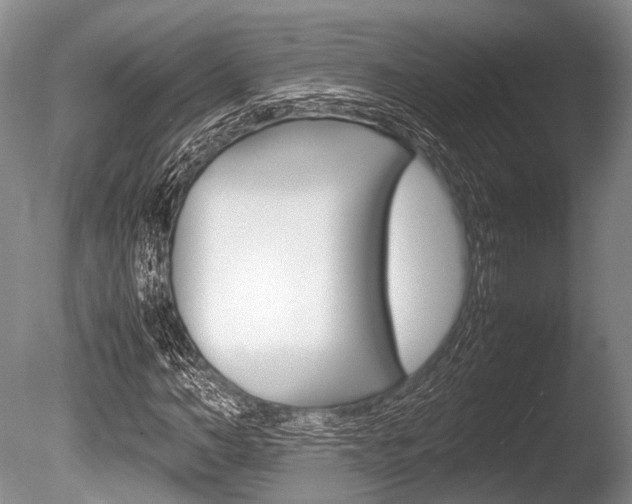 X0000086290966200703300857