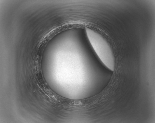 X0000086290968200703300857