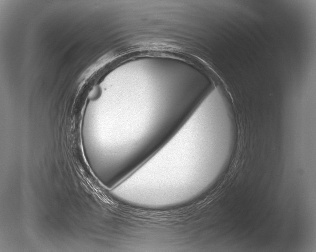 X0000086290971200703300857