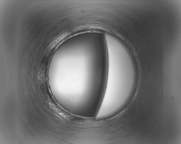 X0000086290977200703300857