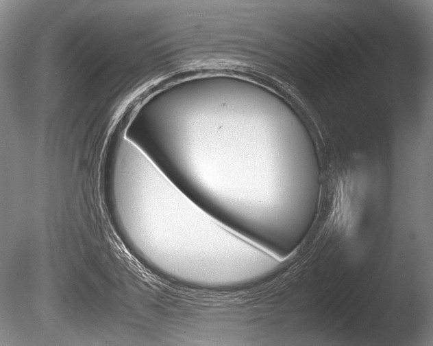 X0000086290979200703300857