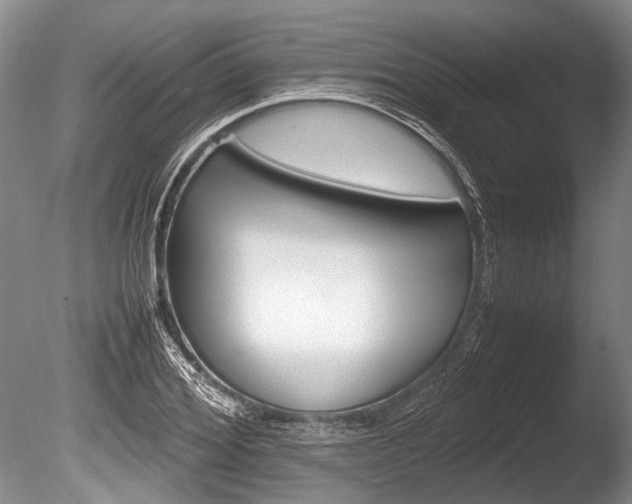 X0000086290980200703300857