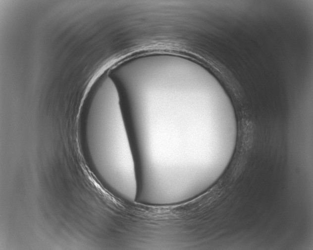 X0000086290982200703300857