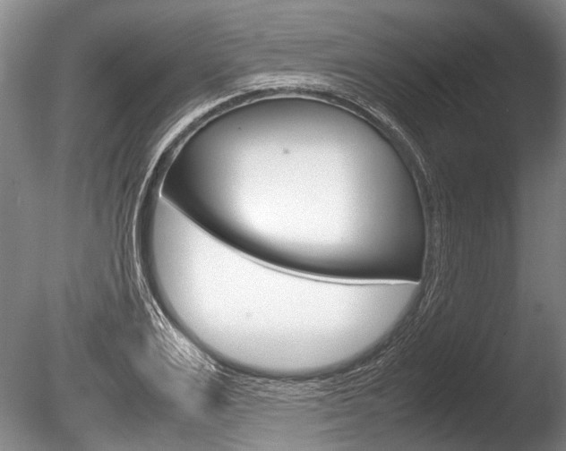 X0000086290983200703300857
