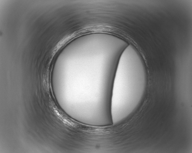 X0000086290986200703300857