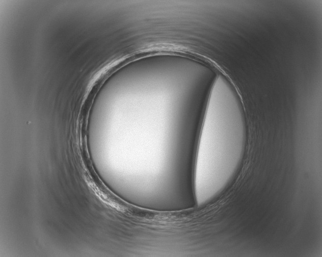 X0000086290987200703300857