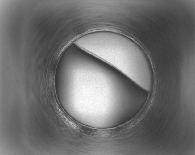X0000086290993200703300857
