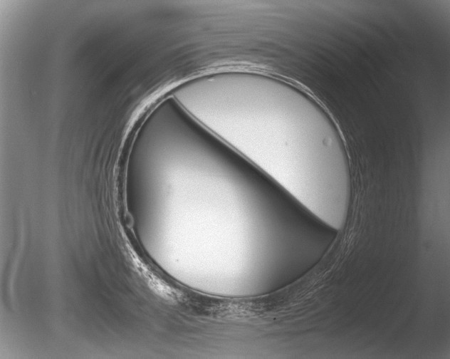 X0000086290995200703300857