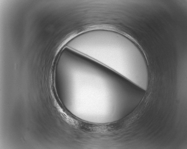 X0000086290999200703300857