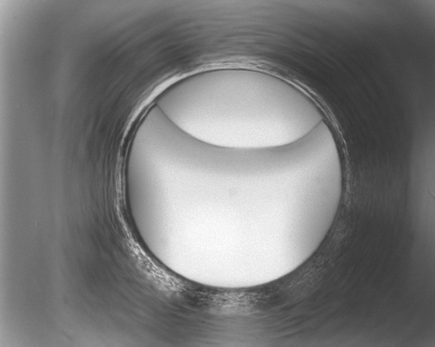 X0000086291000200703300857