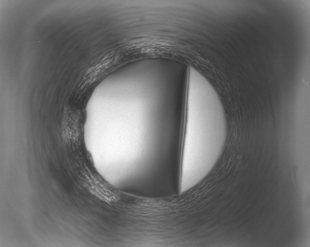 X0000086291012200703300856