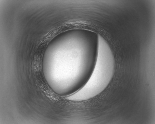 X0000086291014200703300856